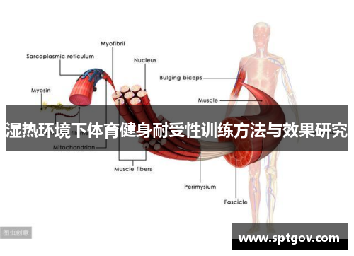 湿热环境下体育健身耐受性训练方法与效果研究